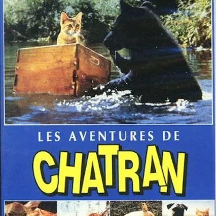 Miniature photo du film : Les aventures de chatran