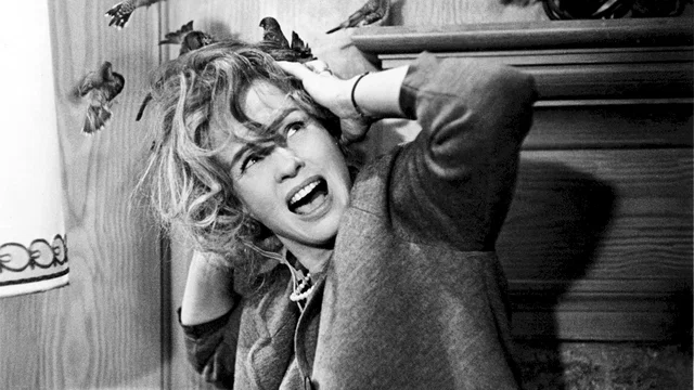 Photo du film : Les oiseaux