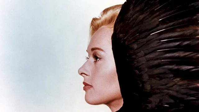 Photo du film : Les oiseaux