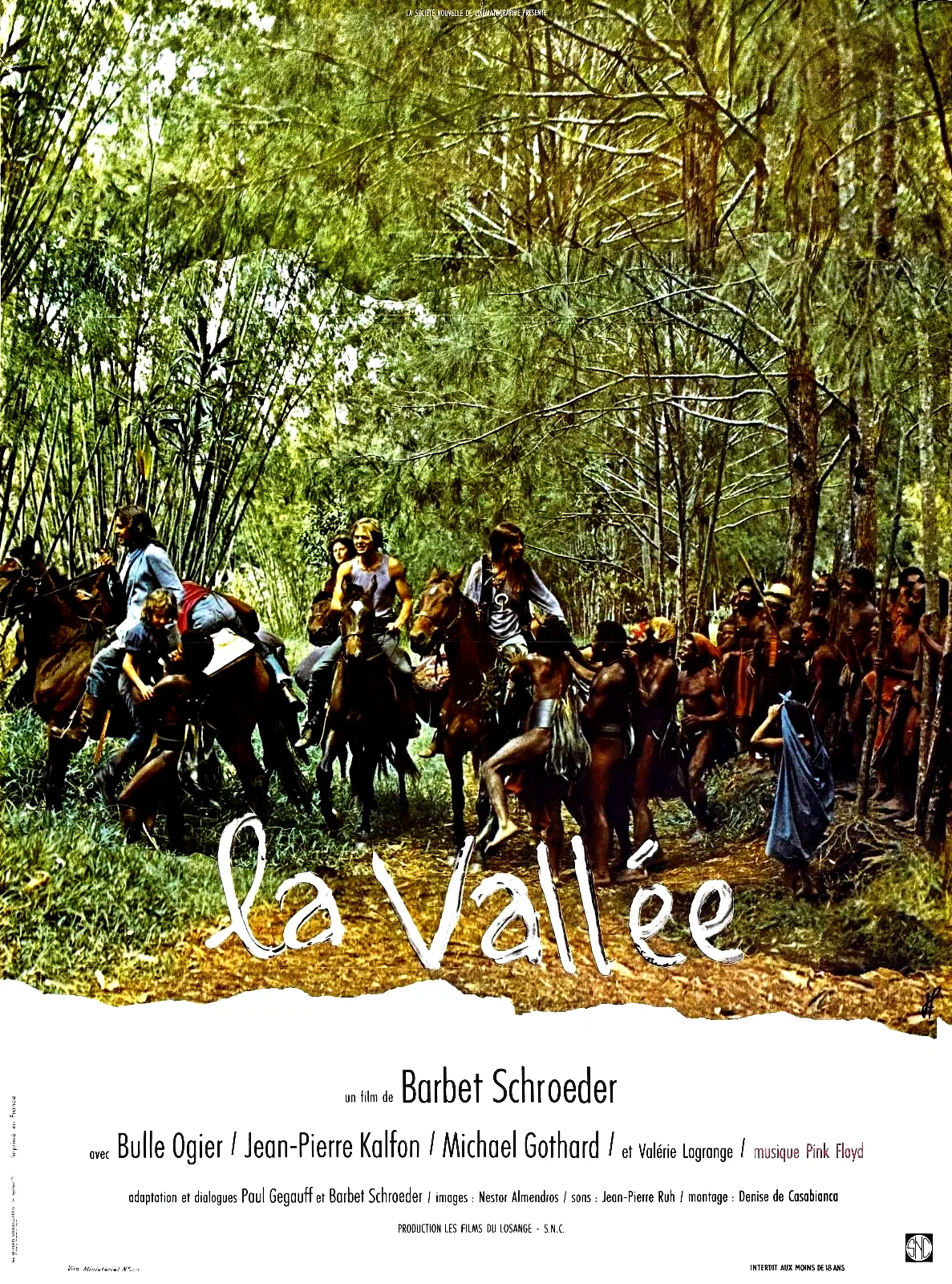 Affiche du film : La vallee