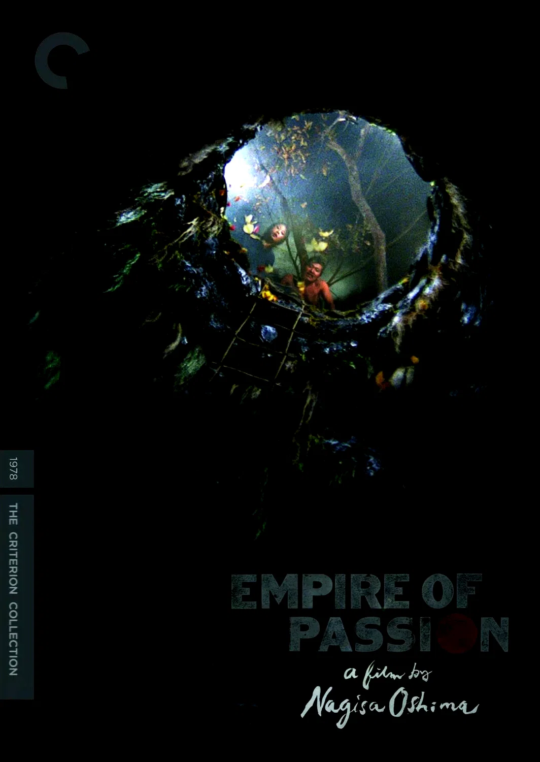 Affiche du film : L'empire de la passion
