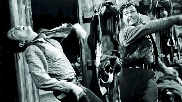 Photo du film : Libre comme le vent