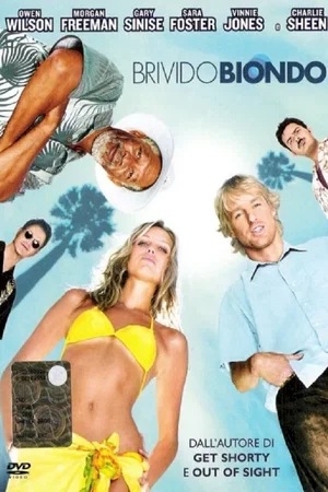 Affiche du film : La grande arnaque