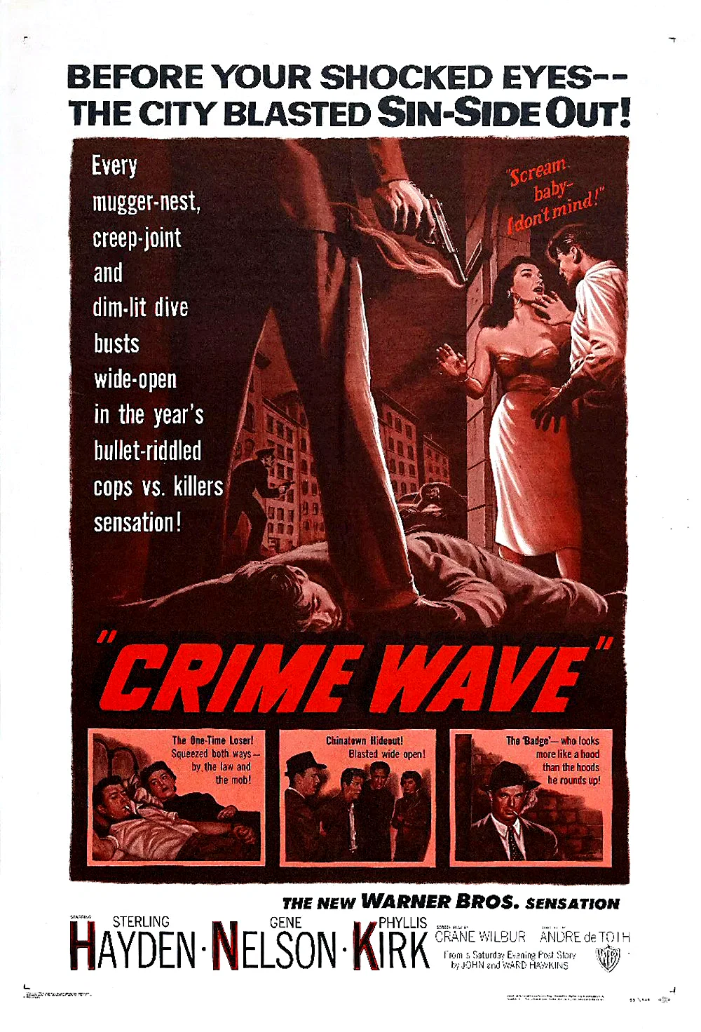 Affiche du film : Chasse au gang