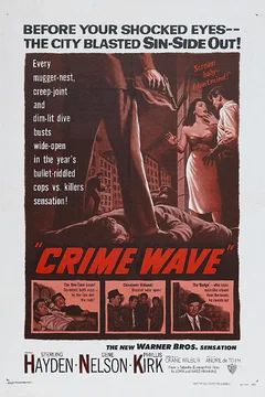 Affiche du film Chasse au gang