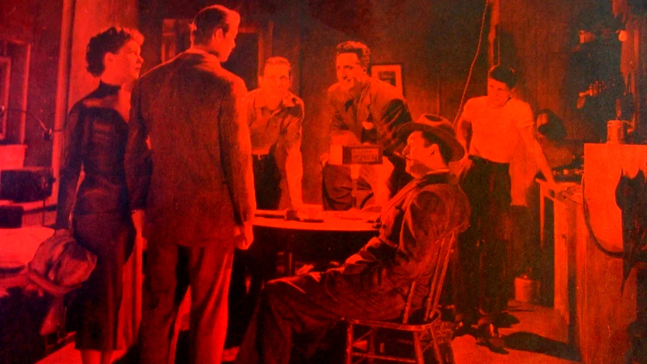 Photo 3 du film : Chasse au gang