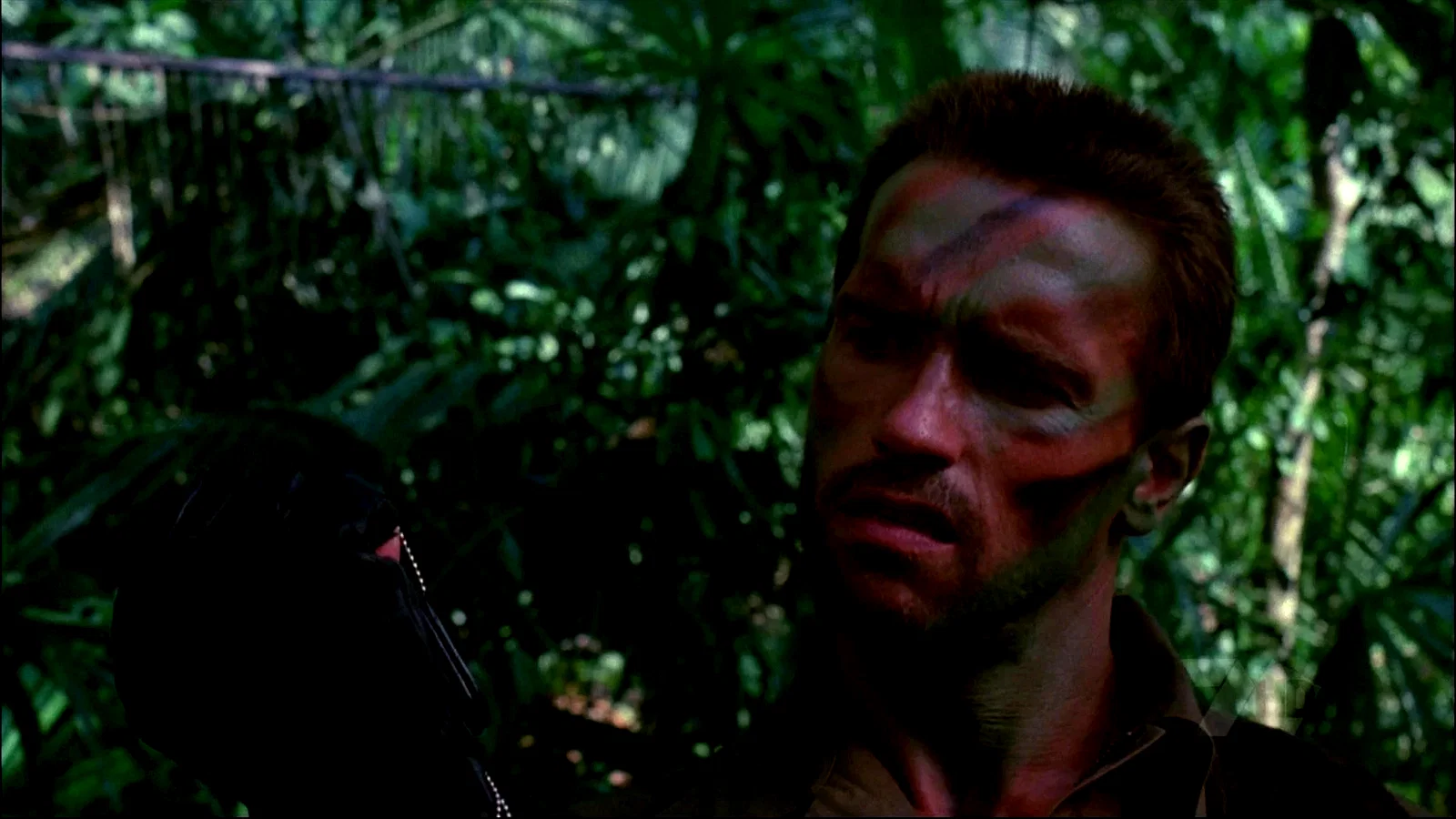 Photo 10 du film : Predator