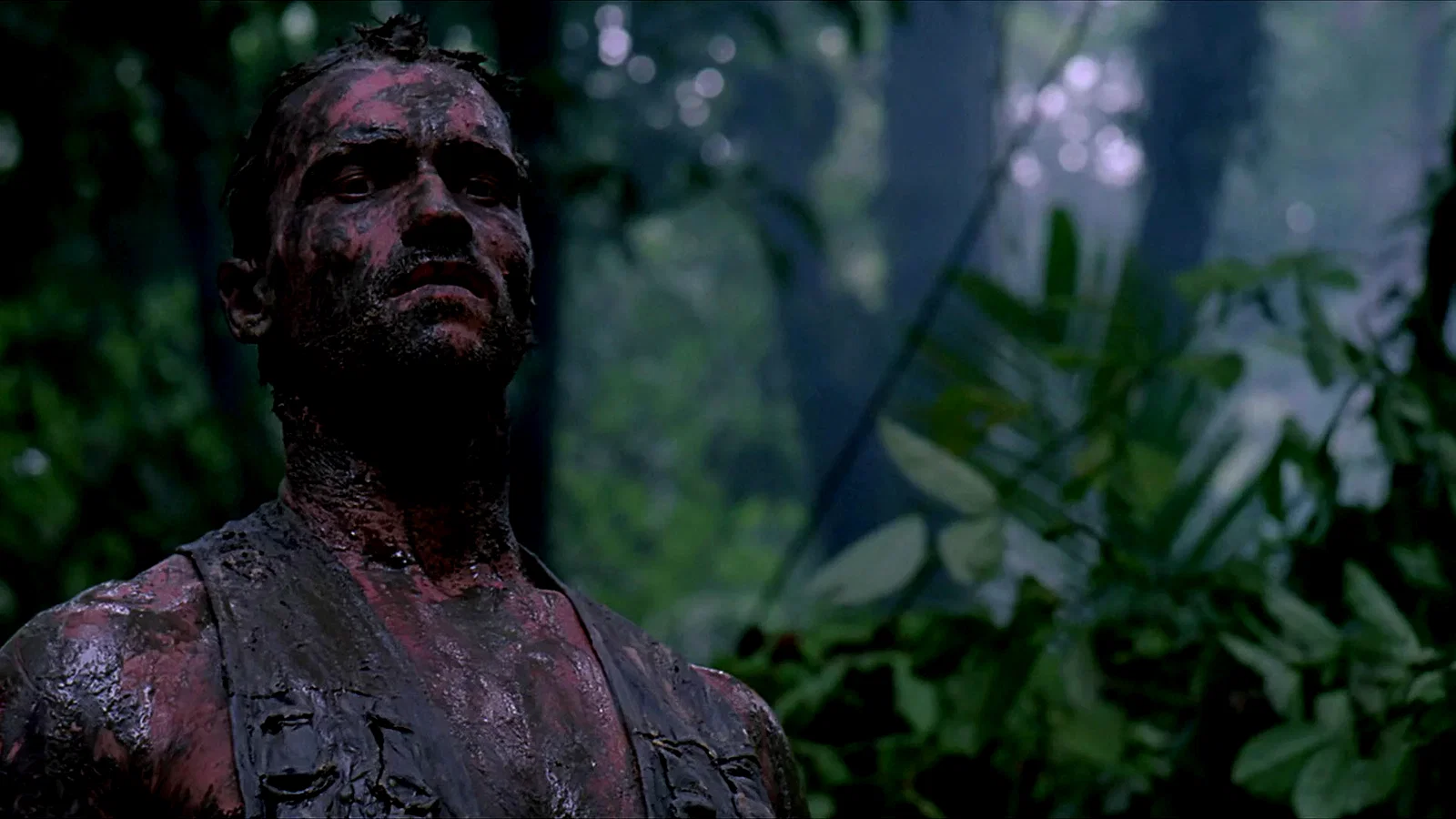 Photo 13 du film : Predator