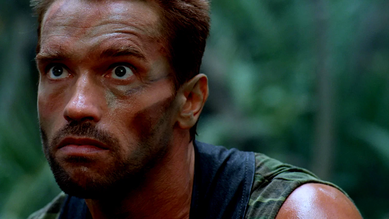 Photo 14 du film : Predator