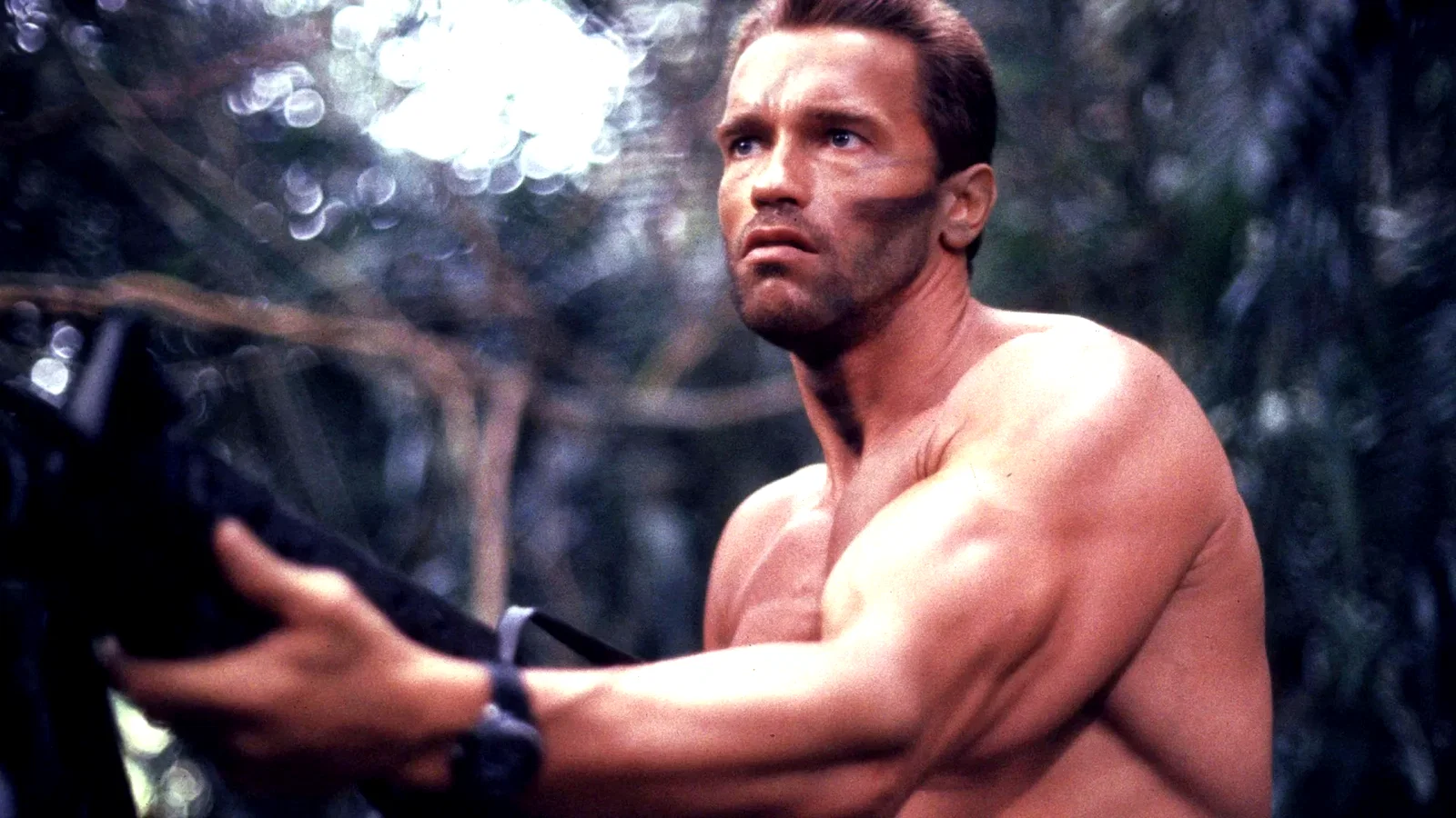 Photo 15 du film : Predator