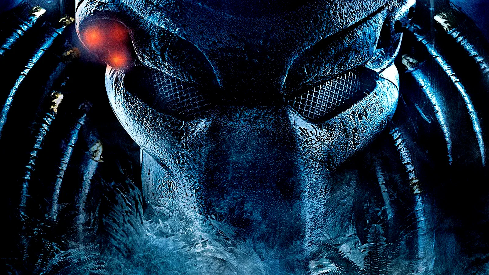 Photo 16 du film : Predator