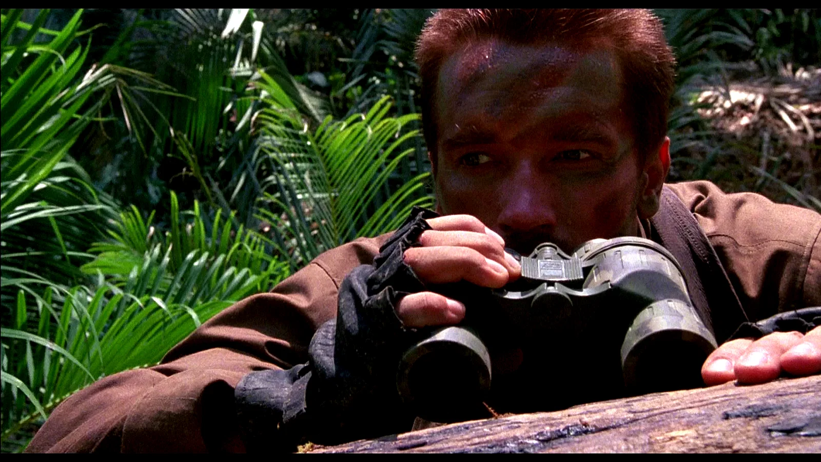 Photo 17 du film : Predator