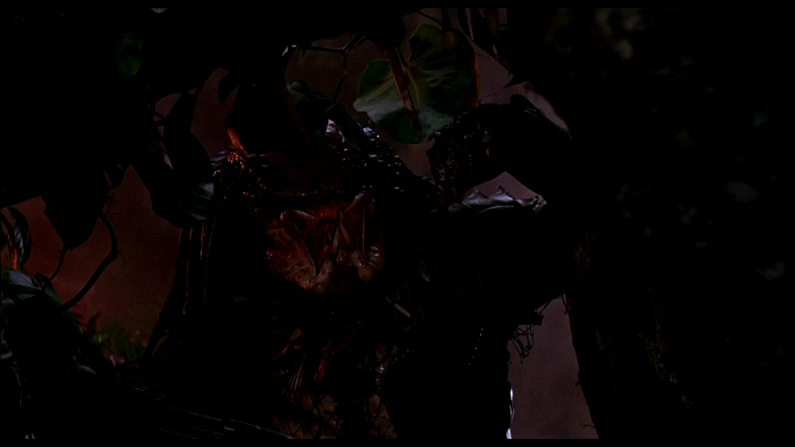Photo 18 du film : Predator