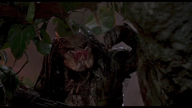 Photo du film : Predator