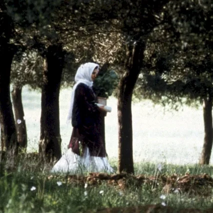 Miniature photo du film : Au travers des oliviers