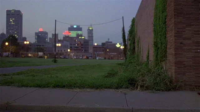 Photo du film : Mystery Train