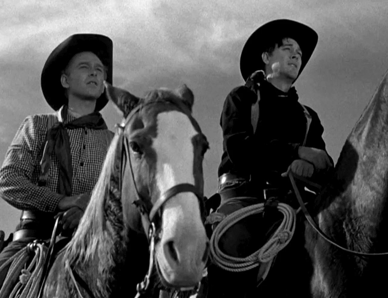 Photo 2 du film : Le convoi des braves