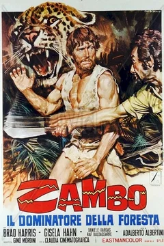 Affiche du film Zambo