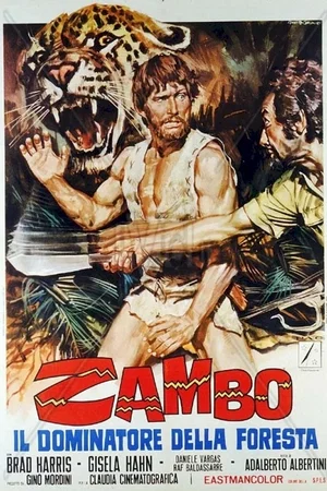 Affiche du film : Zambo