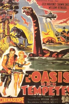Affiche du film L'oasis des tempetes