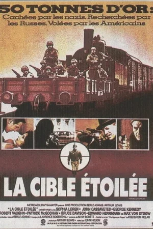Affiche du film : La cible etoilee