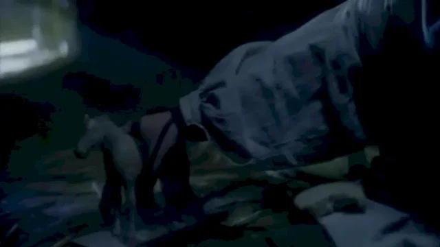 Photo 3 du film : Kaspar hauser