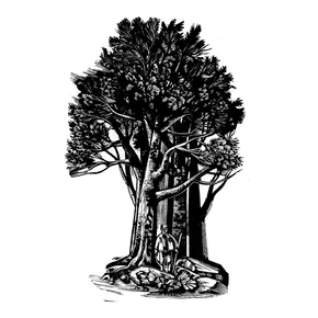 Photo du film : L'homme qui plantait des arbres
