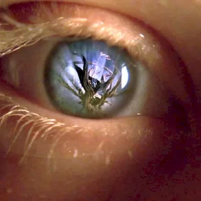 Photo du film : Le jardin