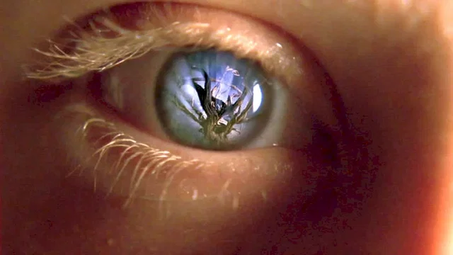Photo 2 du film : Le jardin
