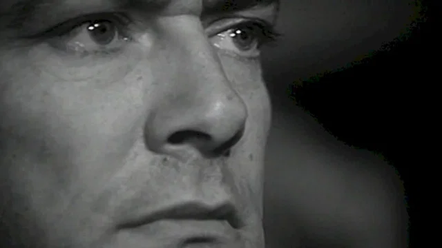 Photo 5 du film : Le Jardin des délices