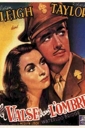 Affiche du film : La valse dans l'ombre
