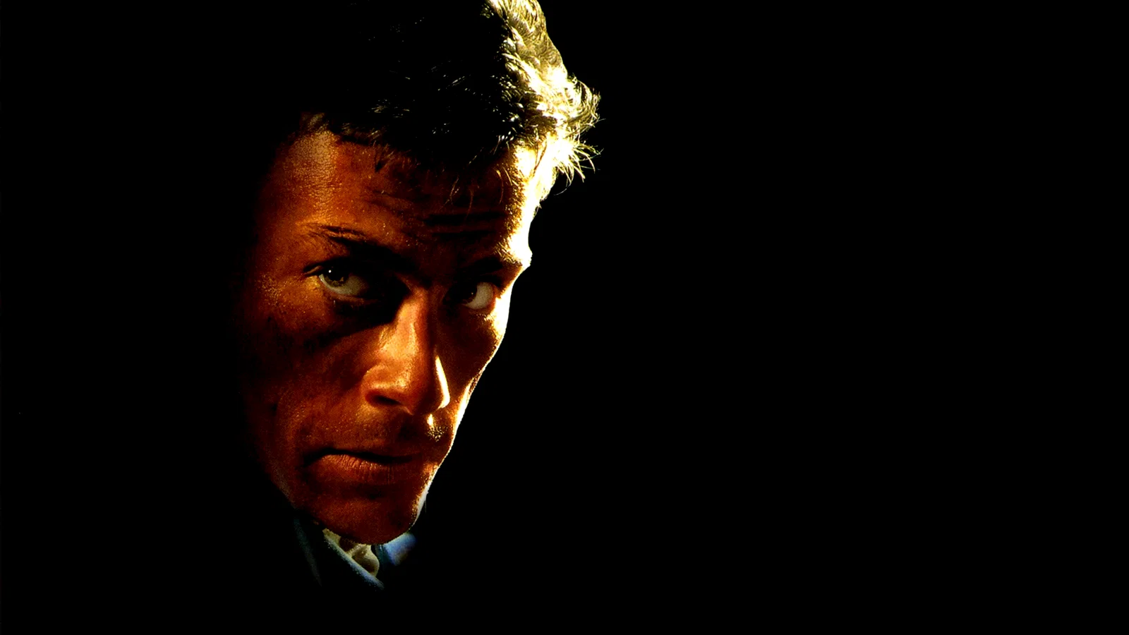 Photo 3 du film : Mort subite
