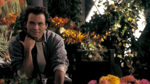 Photo du film : Pluie de roses sur manhattan