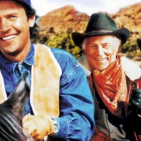 Photo du film : La vie, l'amour, les vaches