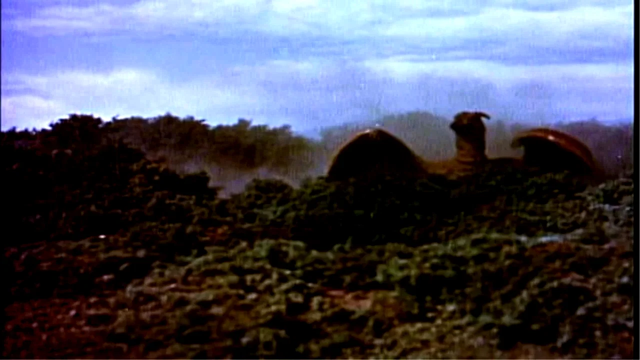 Photo 3 du film : Rodan