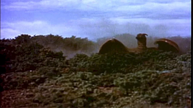 Photo 3 du film : Rodan