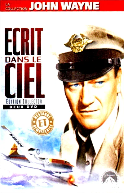 Affiche du film : Ecrit dans le ciel