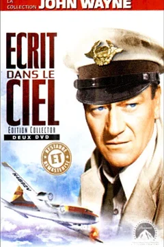 Affiche du film Ecrit dans le ciel