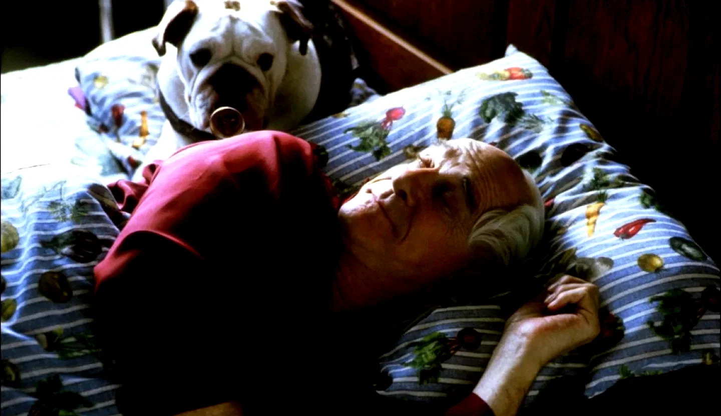 Photo 2 du film : Mr. magoo