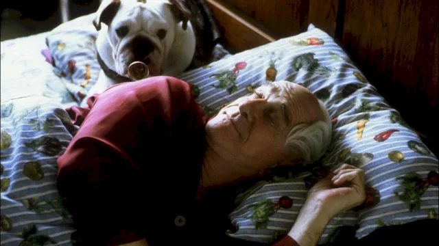 Photo du film : Mr. magoo