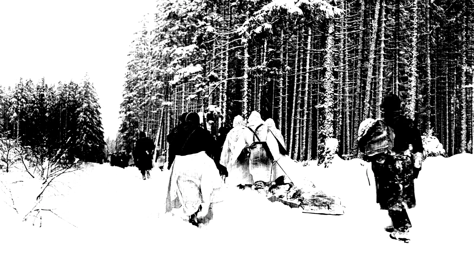 Photo 2 du film : La bataille des ardennes