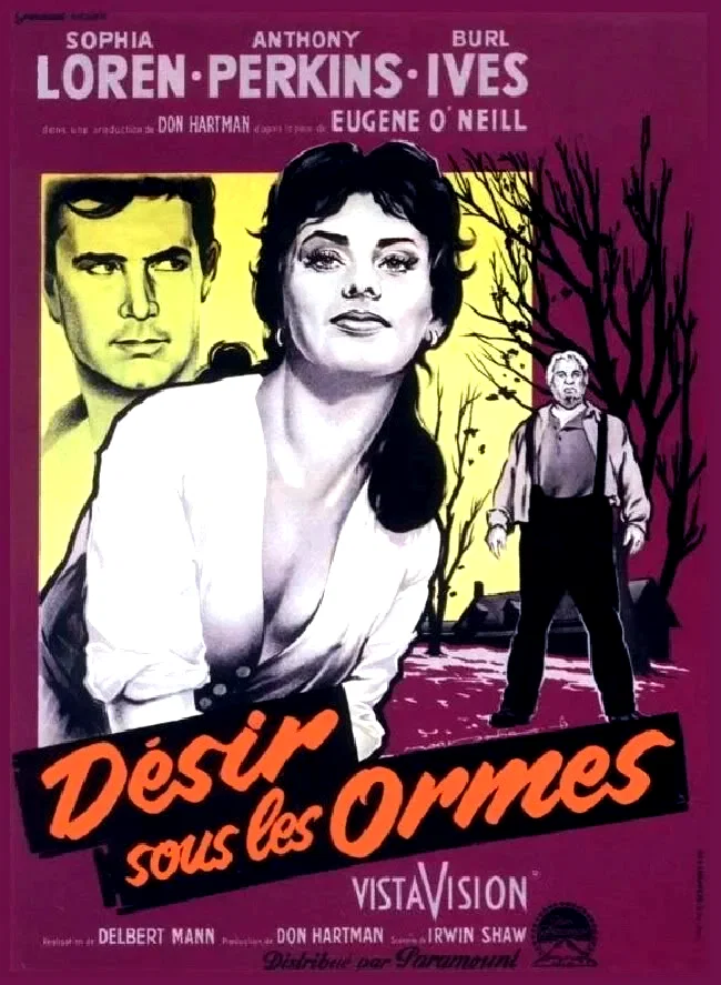 Photo 2 du film : Le desir sous les ormes