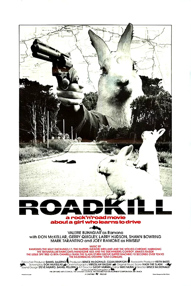 Affiche du film : Bad girls roadkill