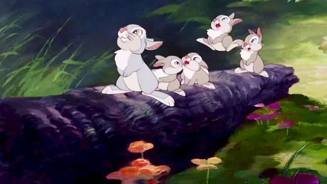 Photo 5 du film : Bambi