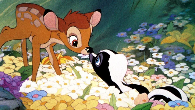 Photo 15 du film : Bambi