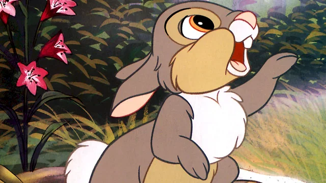 Photo 16 du film : Bambi