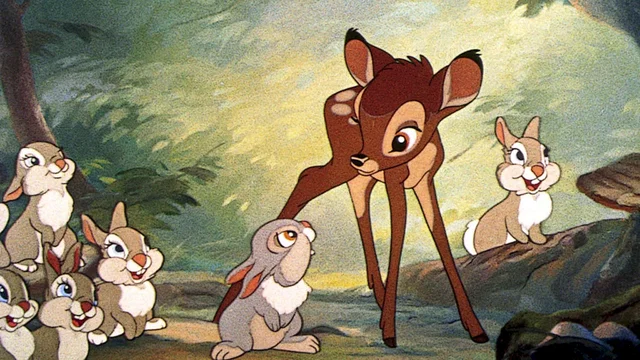 Photo 17 du film : Bambi