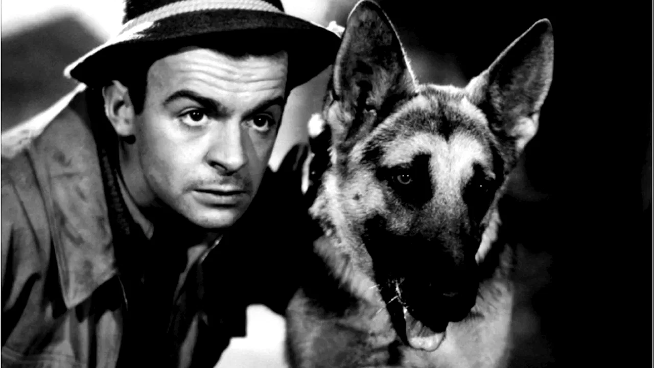 Photo 11 du film : Le Doulos
