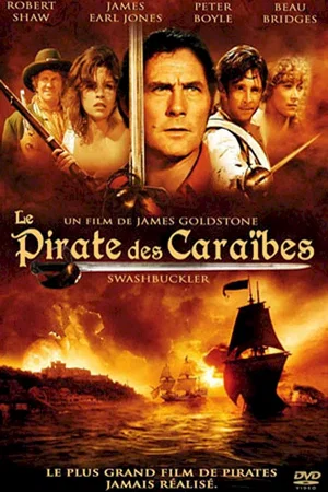 Affiche du film : Le pirate des caraibes