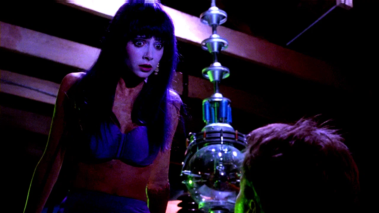 Affiche du film : Frankenhooker